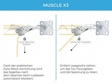 Kit Pared Muscle x3 - Anclaje de pared con poleas